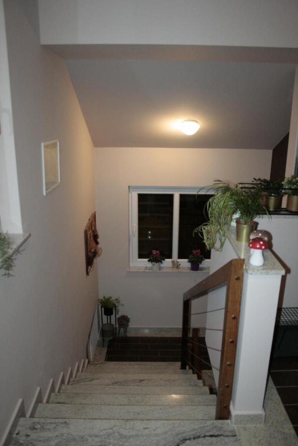 Appartement Kaj-Lux à Tuheljske Toplice Extérieur photo